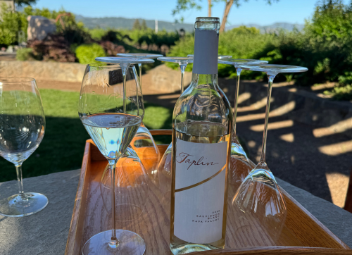 Why We Chose to Make a Sauvignon Blanc article