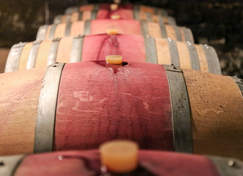 In the Cellar with Camille: A Look at the 2026 Harvest article